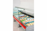 Shelf Refrigrators